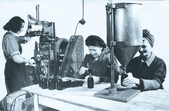Bacollolfactory 1924