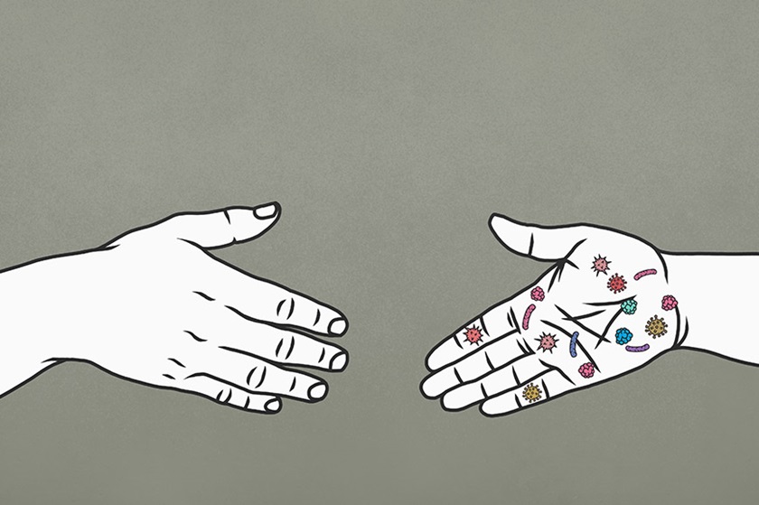 Illustration of germ transmission when shaking hands.