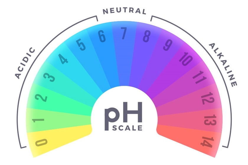 Graphic of a pH scale showing acidic, neutral, and alkaline sections.