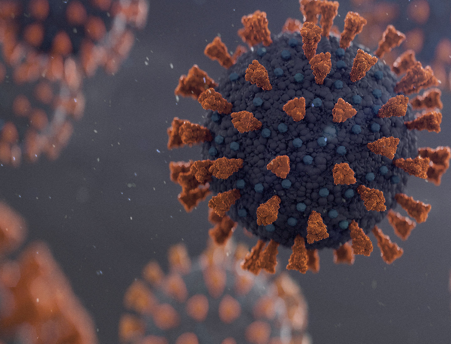 How do viruses spread?